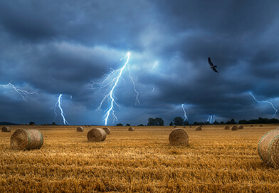 Smart Agriculture Solution - Image 4