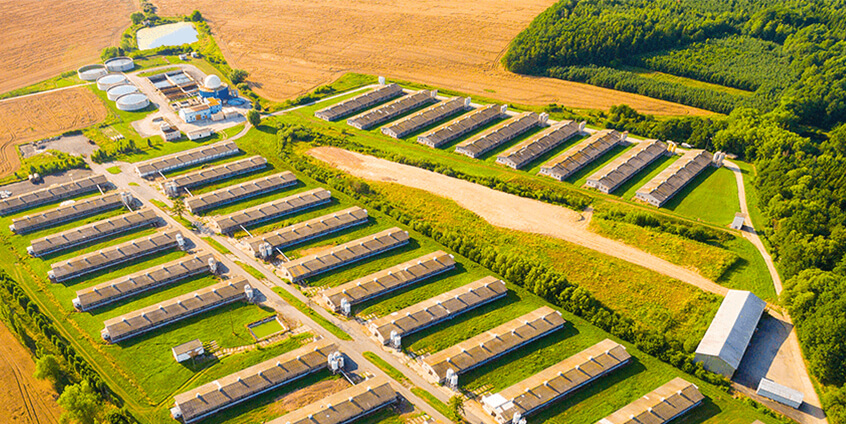 Smart Agriculture Solution - Image 7